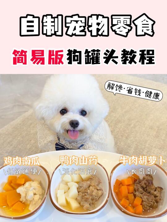 0难度❗️在家做狗狗罐头✅比狗粮更健康哦