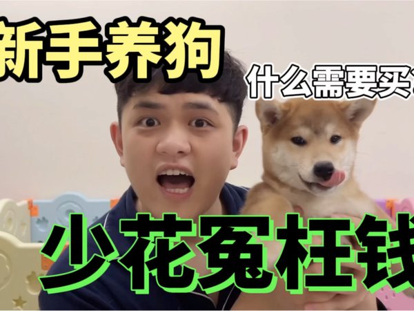 新手养狗什么需要买？希望今天的视频能让大家少花冤枉钱