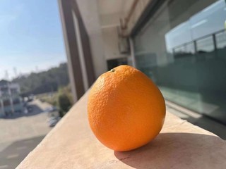 天天有🍊意！