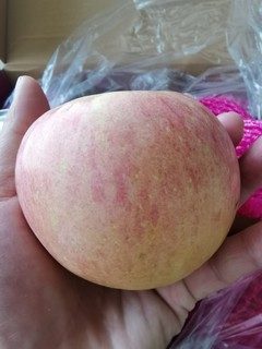 推荐个最近买的不错的苹果，京鲜生山东栖霞红富士苹果