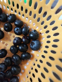蓝莓，还不错
