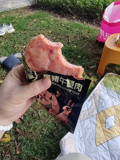 和小狗踏青，当然要带臻邦黑猪午餐肉，90%的含肉量，爽！