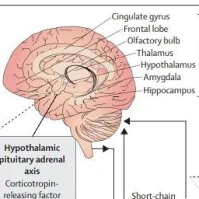 被减肥困扰的姐妹们看过来，跟我一起科学变瘦变美!