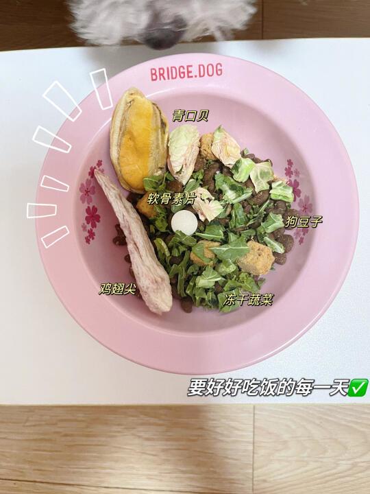 小狗食堂开饭噜🥣
每日干粮狗豆子
零食：璞印红标鸡翅尖
璞印冻干混合蔬菜
妙趣一刻冻干青口贝
营养品：朗博特鲨鱼软骨素
#宠物吃播 #小狗吃饭#灰泰迪 #狗狗日常[话题]