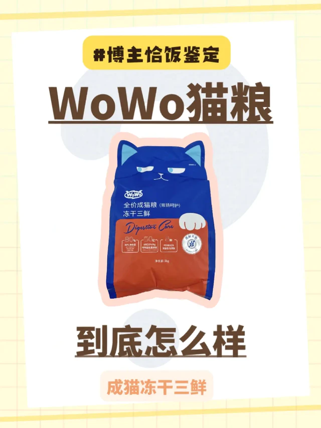 WoWo猫粮-宠物博主们怎么说？