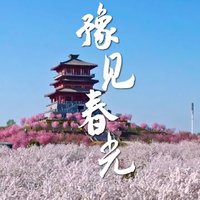 春回大地，花开郑州——丰乐樱花园的浪漫之旅