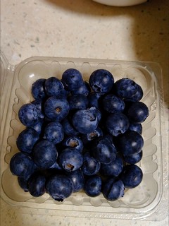 应季蓝莓吃起来