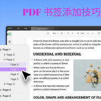 如何给PDF文件添加书签？PDF书签添加技巧来了