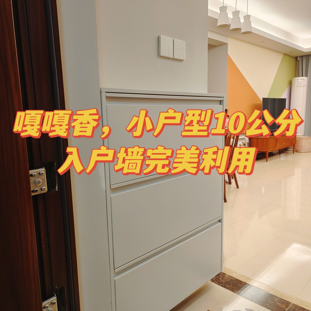 嘎嘎香，小户型10公分入户墙完美利用！