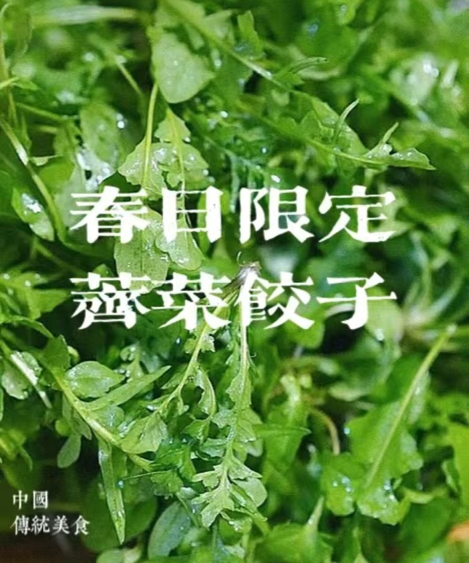 龙大蔬菜