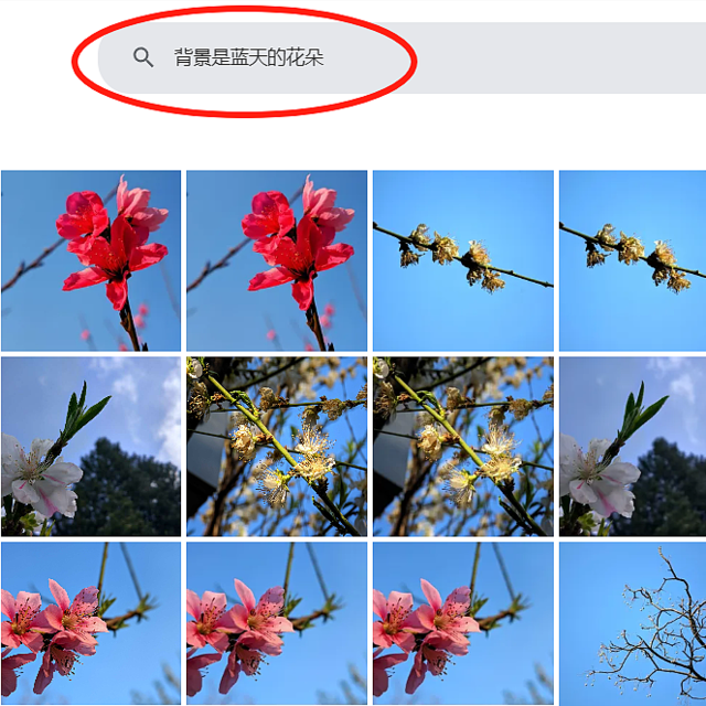 immich智能相册更换支持中文搜索的CLIP大模型教程