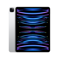 Apple 苹果 iPad Pro 11英寸平板电脑 2021年款 M1芯片 128GB WiFi版 官方认证翻新