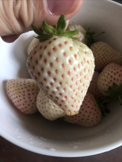 初尝淡雪草莓