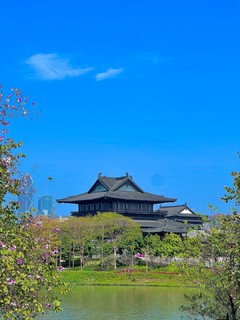 海珠湖公园的花海