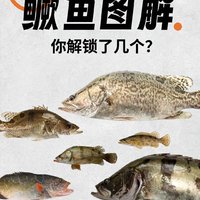 路亚鳜鱼九个品种，鳜鱼也顶水了，来看看这些鳜鱼你们都见过吗?