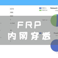 UNRAID篇！FRP内网穿透，远程访问NAS