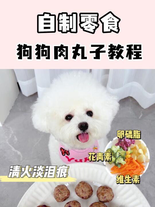 做法巨简单✅自制狗狗零食|清火淡泪痕