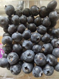 9.9半斤的蓝莓什么水平