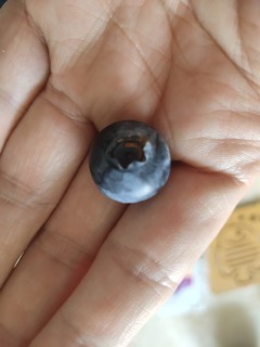 9.9半斤的蓝莓什么水平