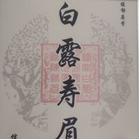 京东金馆长家18白露寿眉