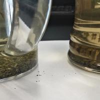 经济型酒店提供的袋泡茶你们喝不喝？今天来个小对比，立顿和茶里打个擂