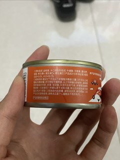 猫猫还是不吃罐头