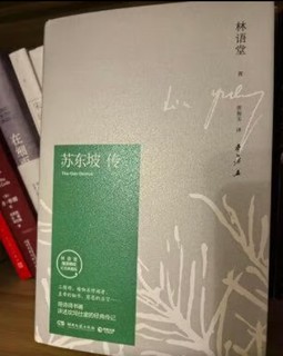 乐天派的苏东坡，也有不一样的故事