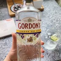 哥顿（Gordon’s）洋酒 英国 伦敦 金酒 蒸馏酒 700ml