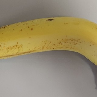 你敢相信？这又粗又弯又大又黄的香蕉，只要1.5元一斤？骑行运动，用它来补充能量，是最合适的水果。