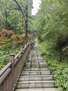 大小脚丫踏青之羞女山