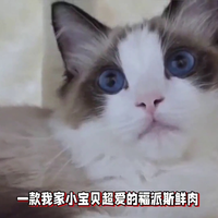 适合布偶猫吃的一款猫粮，福派斯鲜肉无谷猫粮