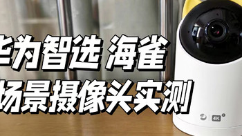 自律种草 篇十四：家里真的需要安装摄像头吗？2024家用室内室外摄像头推荐 | 华为海雀全场景摄像头真机实测