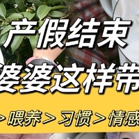 产假结束婆婆带娃⚠️必须要交接的50件事情