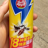 夏天的必备