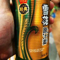 春日美酒 篇四十：SNOWBEER 雪花 原汁麦啤酒