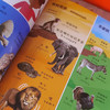 《DK动物双语词汇1000》：探索动物世界的双语之旅