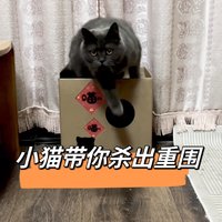 小猫咪带你杀出重围！