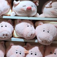 玩具猪——小朋友的最爱