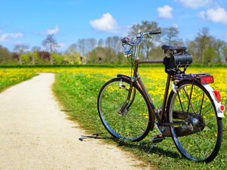 英伦复古单车🚲 