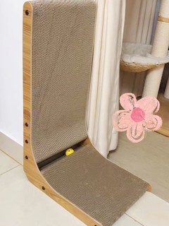 新玩具，新挑战家里新添了一款立式猫抓板，目的是为了保护沙发免受小猫咪的“魔爪”