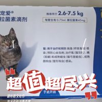 给小猫定期驱虫可以让它的身体更加健康。