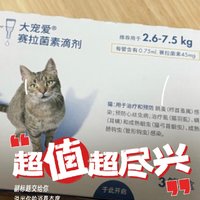 就连大肚婆猫猫也可以使用的宠物驱虫剂分享。