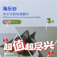 猫猫怀孕都可以使用的驱虫药分享。