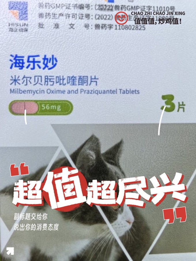 猫咪驱虫