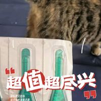 安全有效的猫咪驱虫药分享。