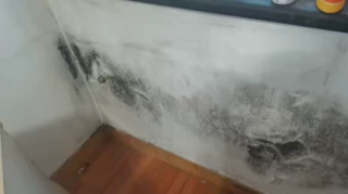 老管家墙体除霉剂去霉斑霉菌清洁剂墙面家用白墙壁防发霉喷雾神器