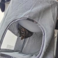 猫吊床猫咪猫窝窗户窗台床边晒太阳吸盘挂床阳台玻璃宠物猫床用品