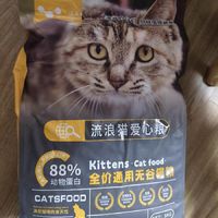 流浪猫爱心猫粮