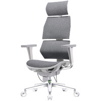 工学至尊i5骶位支撑人体工学椅家用电脑椅办公椅子老板椅电竞椅