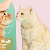 宠物专栏 篇八十三：这款猫粮，让流浪猫也能吃得健康又快乐！